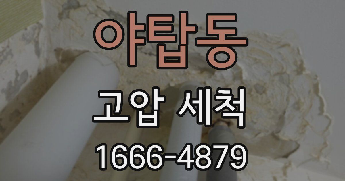 야탑동 고압 세척