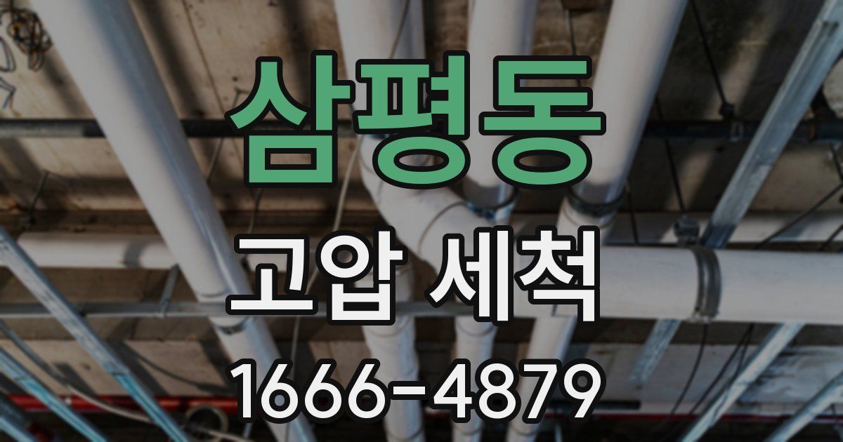 삼평동 고압 세척