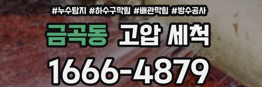 금곡동 고압 세척