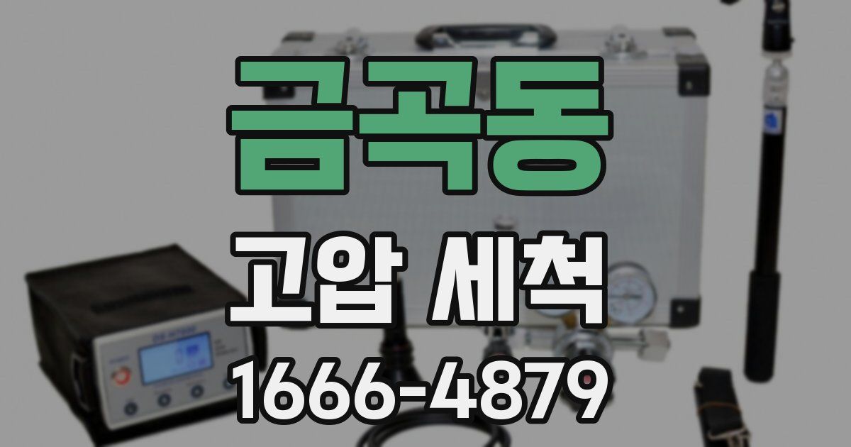 금곡동 고압 세척