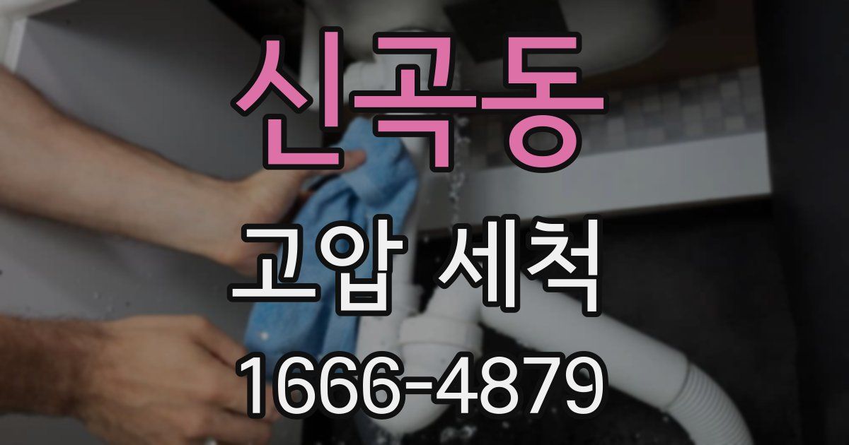 신곡동 고압 세척