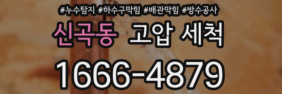 신곡동 고압 세척