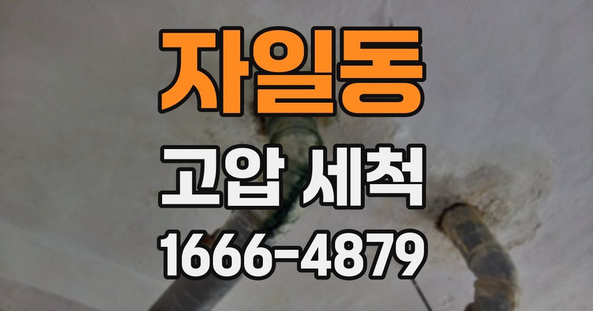 자일동 고압 세척