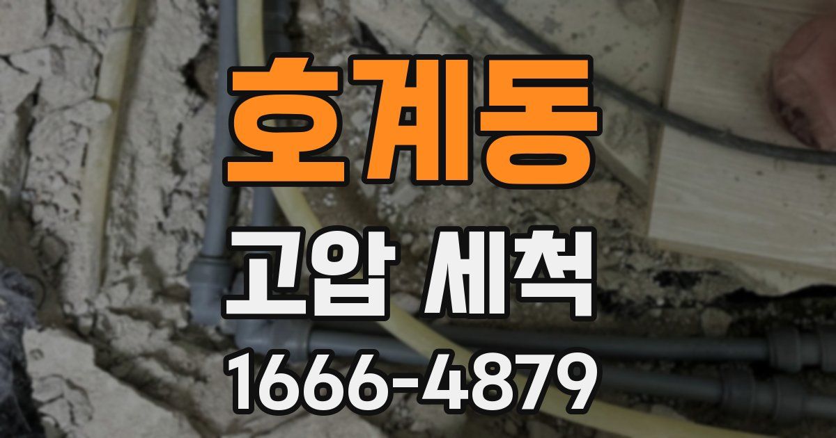 호계동 고압 세척