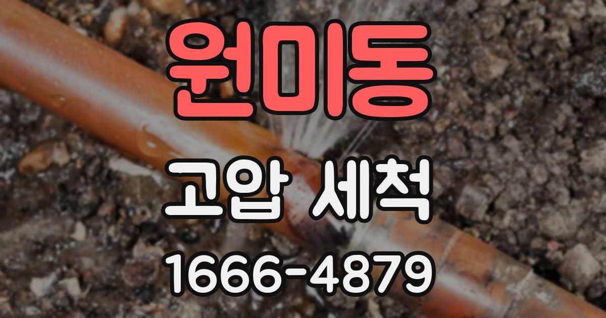 원미동 고압 세척