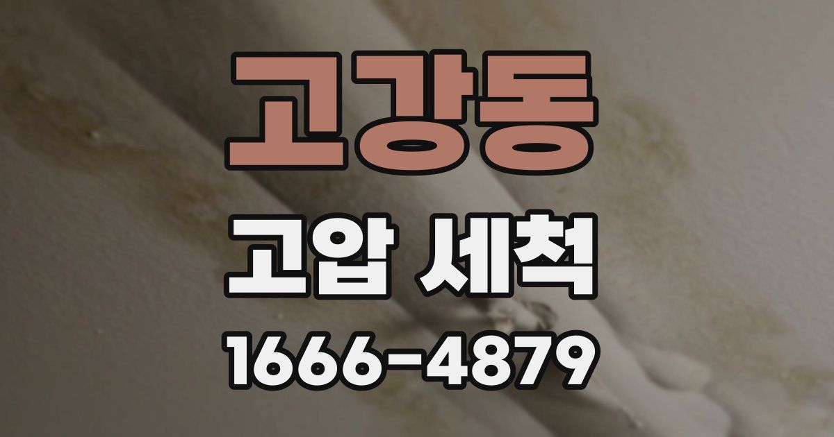 고강동 고압 세척