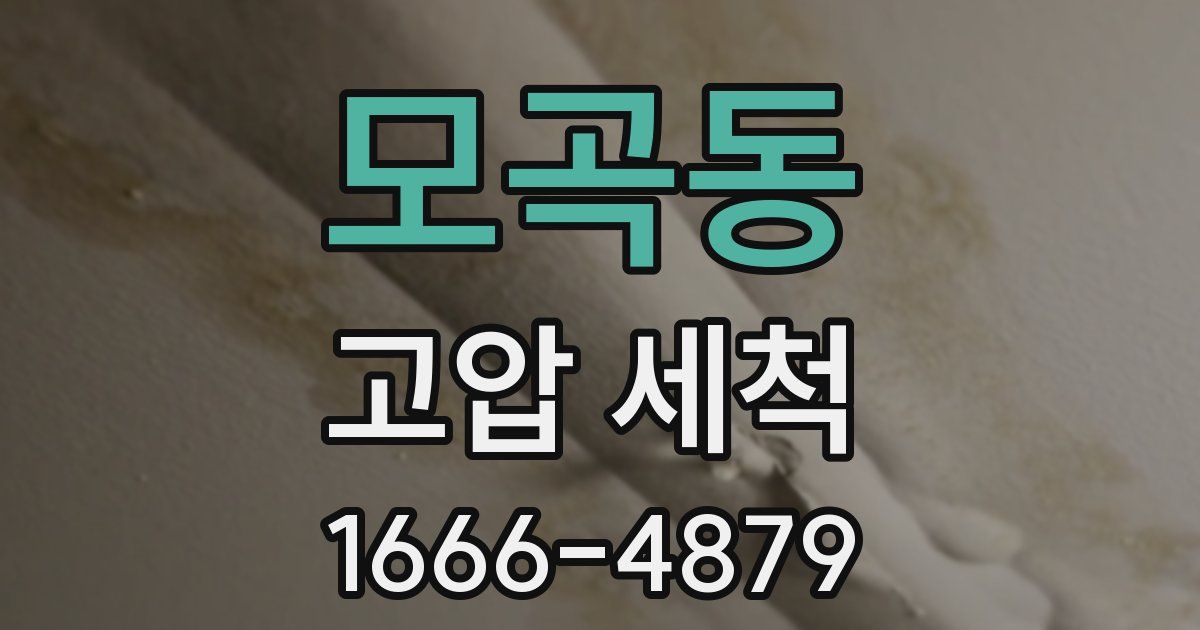 모곡동 고압 세척