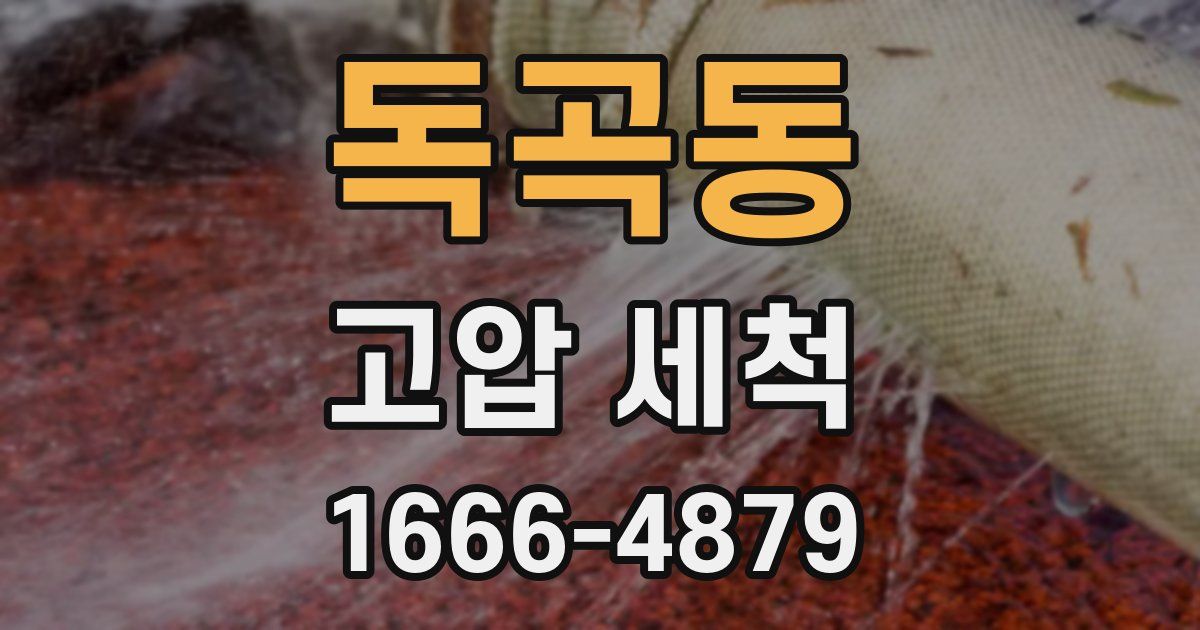 독곡동 고압 세척