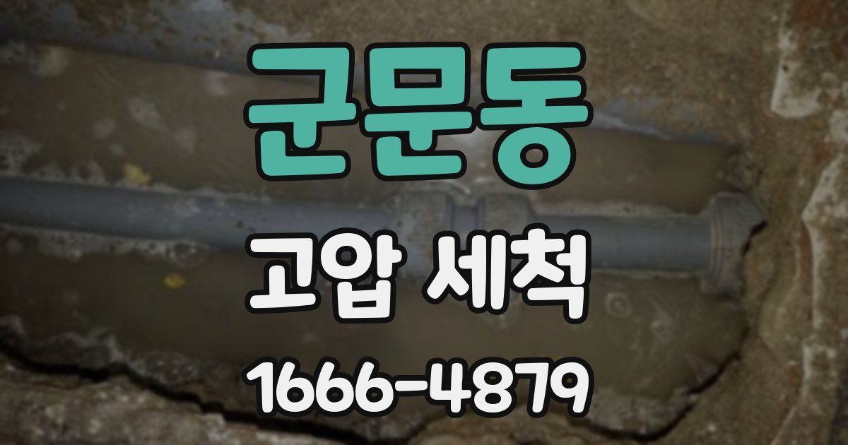 군문동 고압 세척