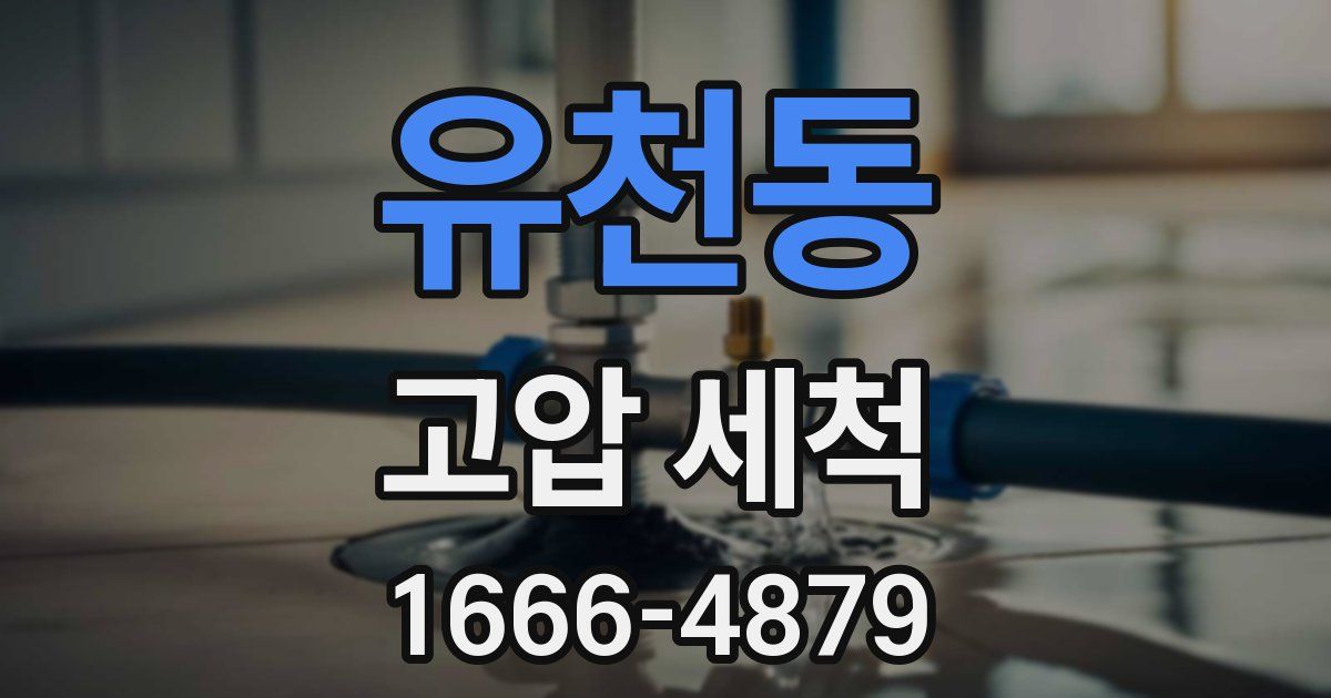 유천동 고압 세척