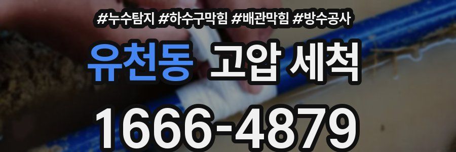 유천동 고압 세척