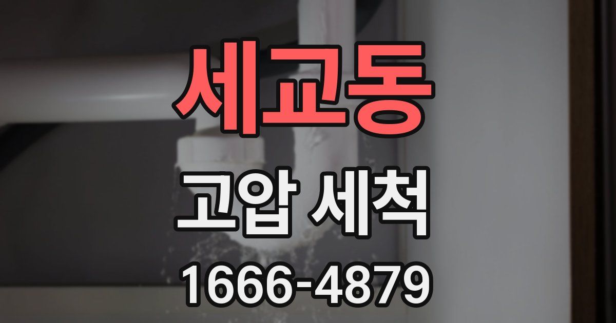 세교동 고압 세척