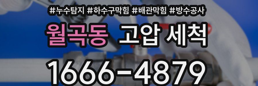 월곡동 고압 세척