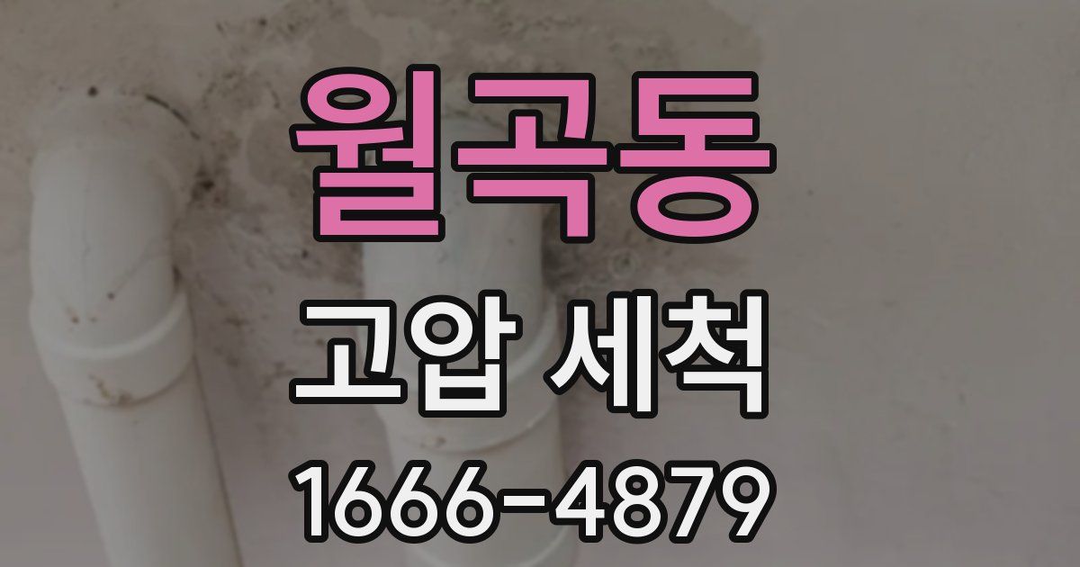 월곡동 고압 세척