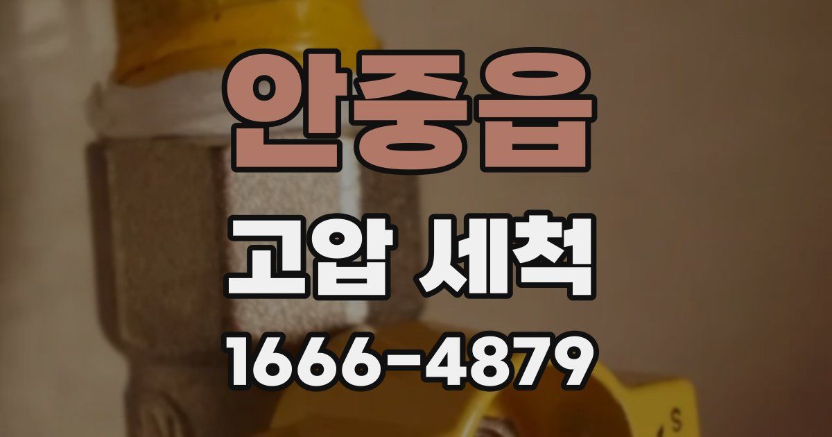 안중읍 고압 세척