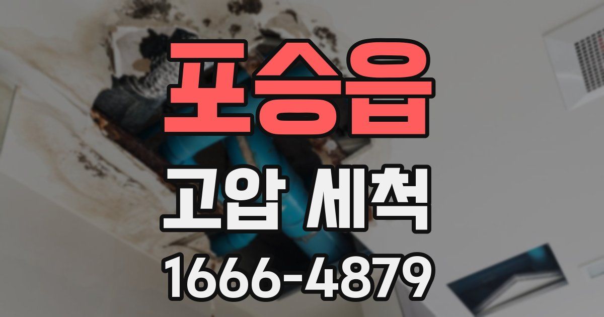 포승읍 고압 세척