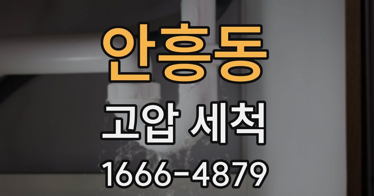 안흥동 고압 세척