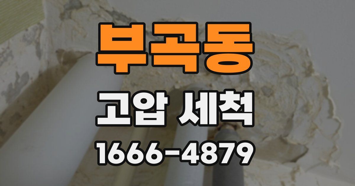 부곡동 고압 세척