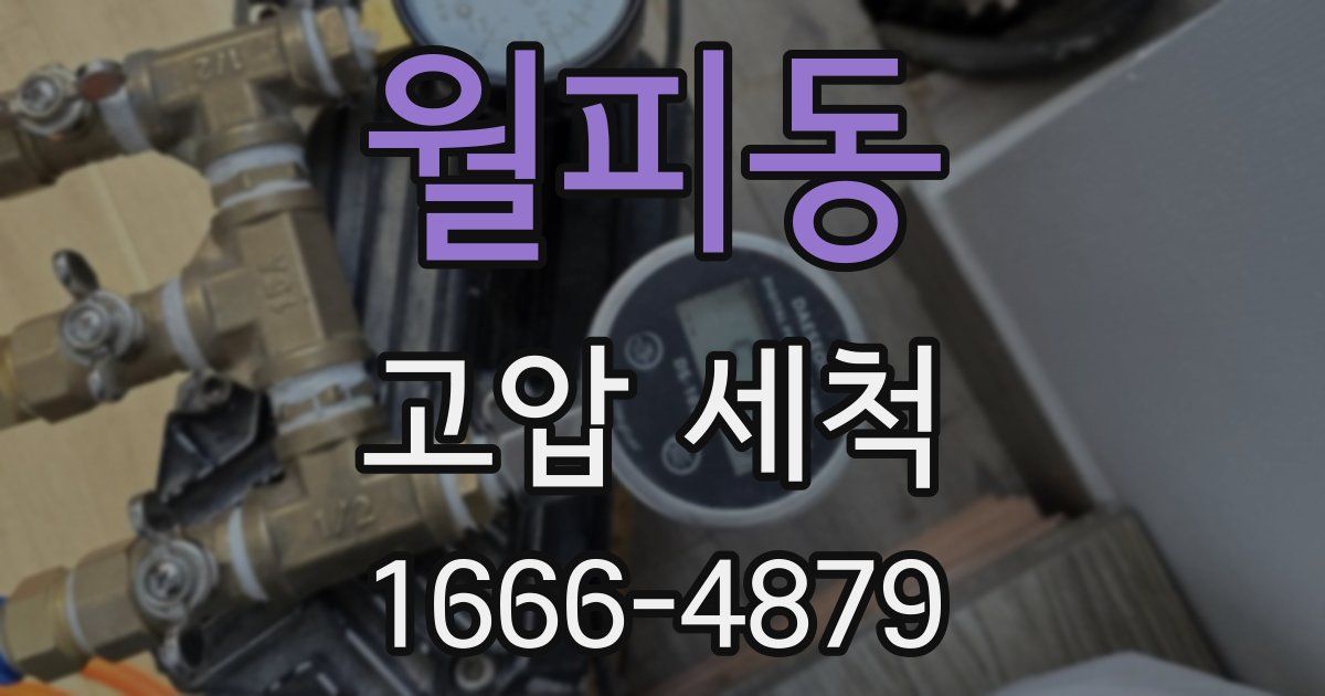 월피동 고압 세척