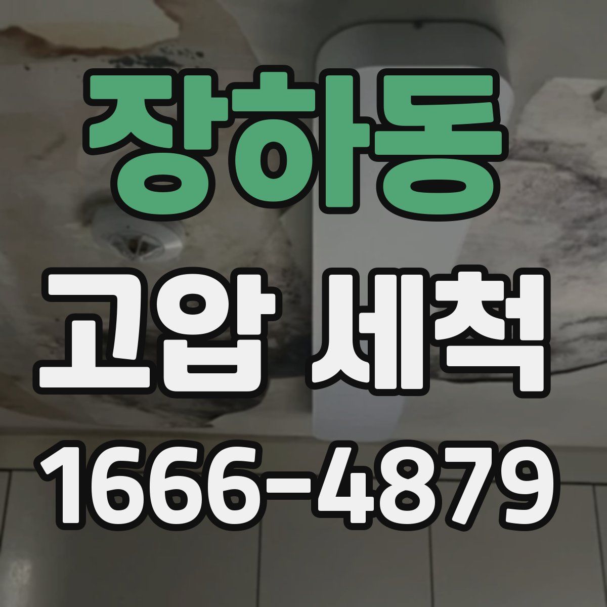 장하동 고압 세척