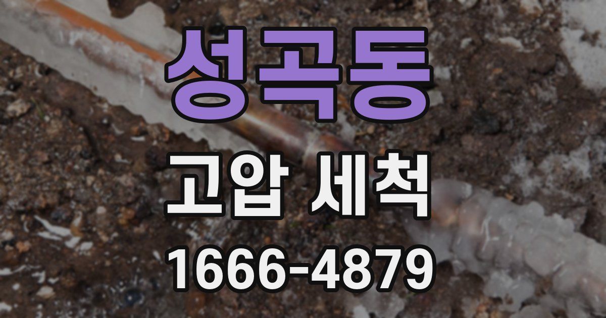 성곡동 고압 세척