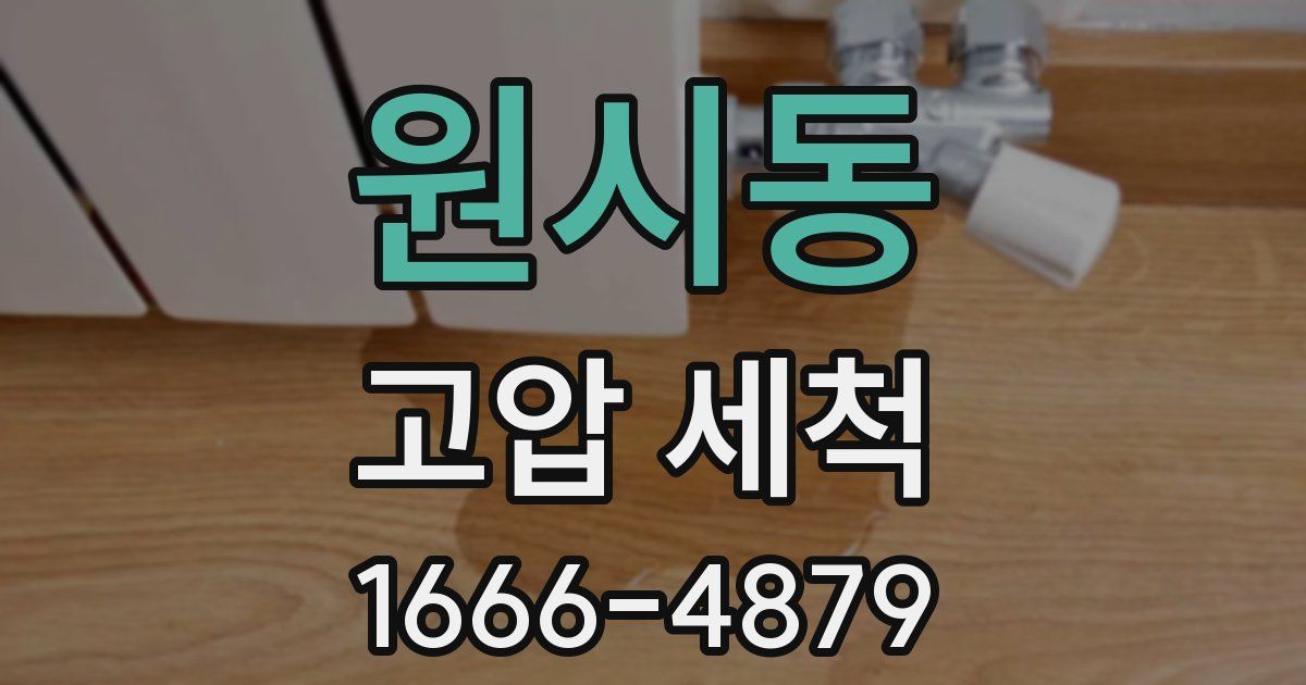 원시동 고압 세척