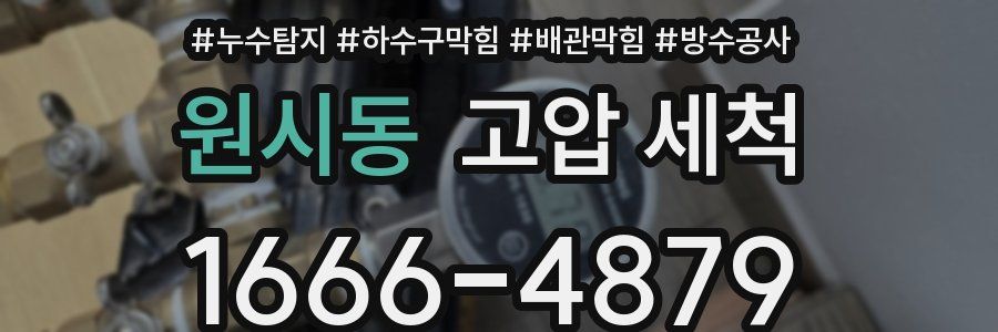 원시동 고압 세척
