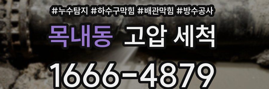 목내동 고압 세척
