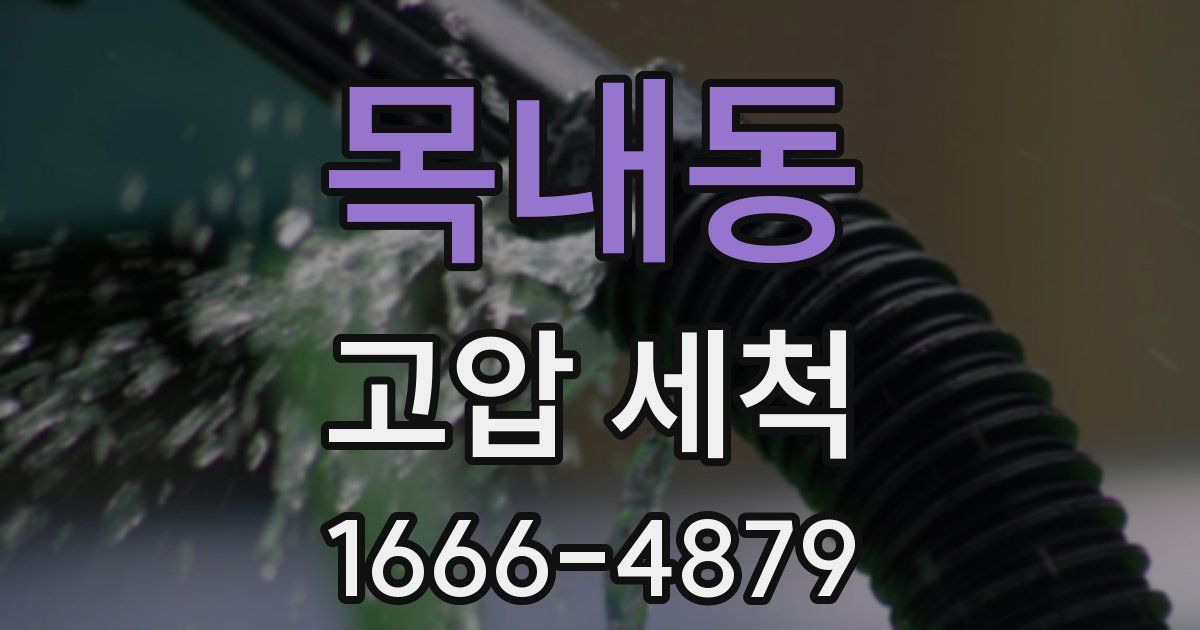 목내동 고압 세척
