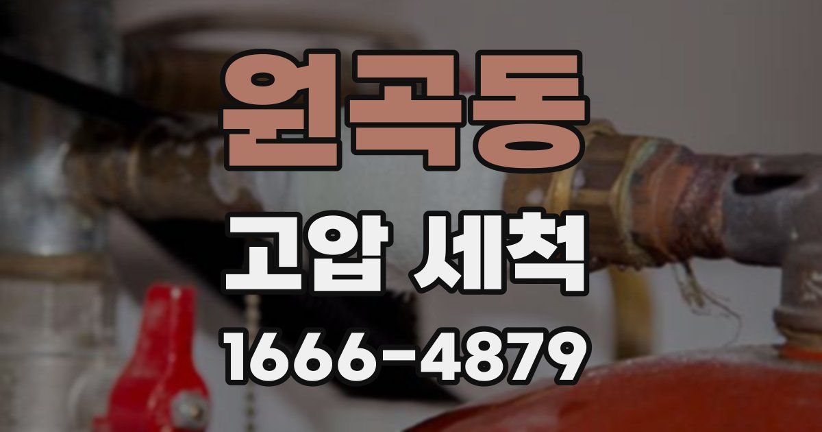 원곡동 고압 세척