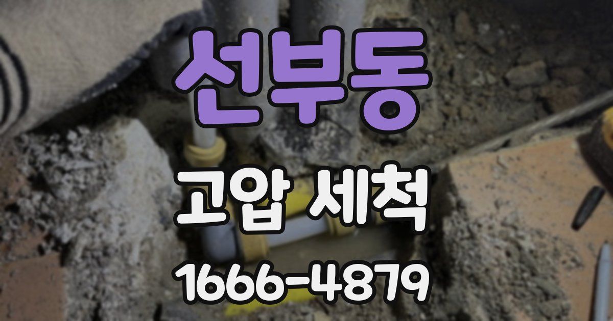 선부동 고압 세척