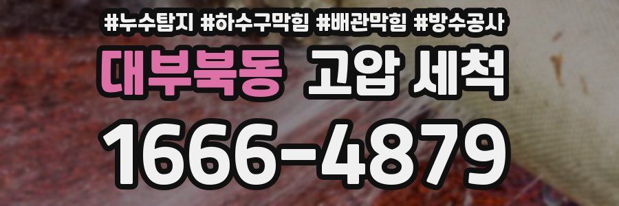 대부북동 고압 세척