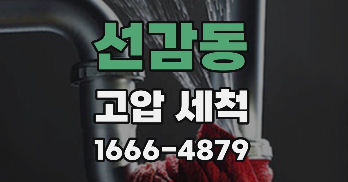 선감동 고압 세척