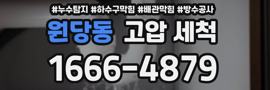 원당동 고압 세척