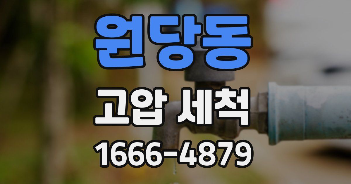원당동 고압 세척