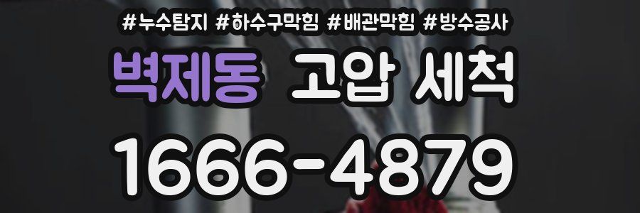 벽제동 고압 세척