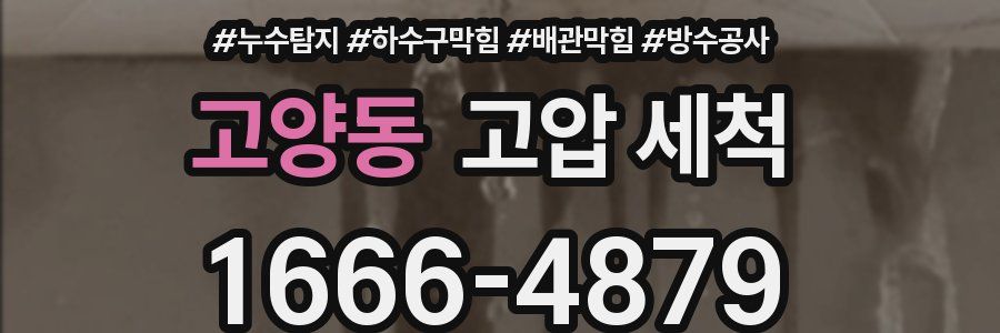고양동 고압 세척
