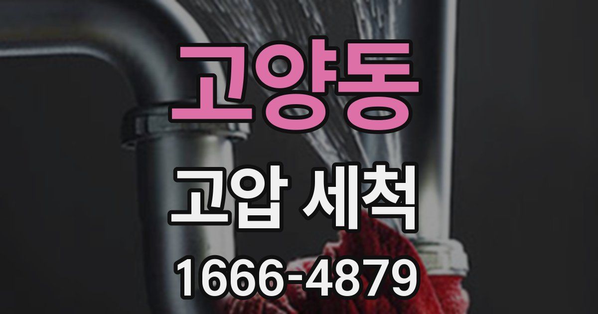 고양동 고압 세척