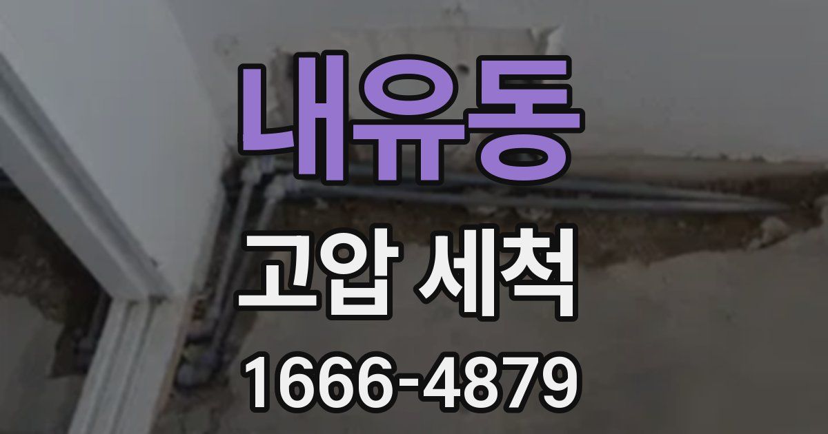 내유동 고압 세척