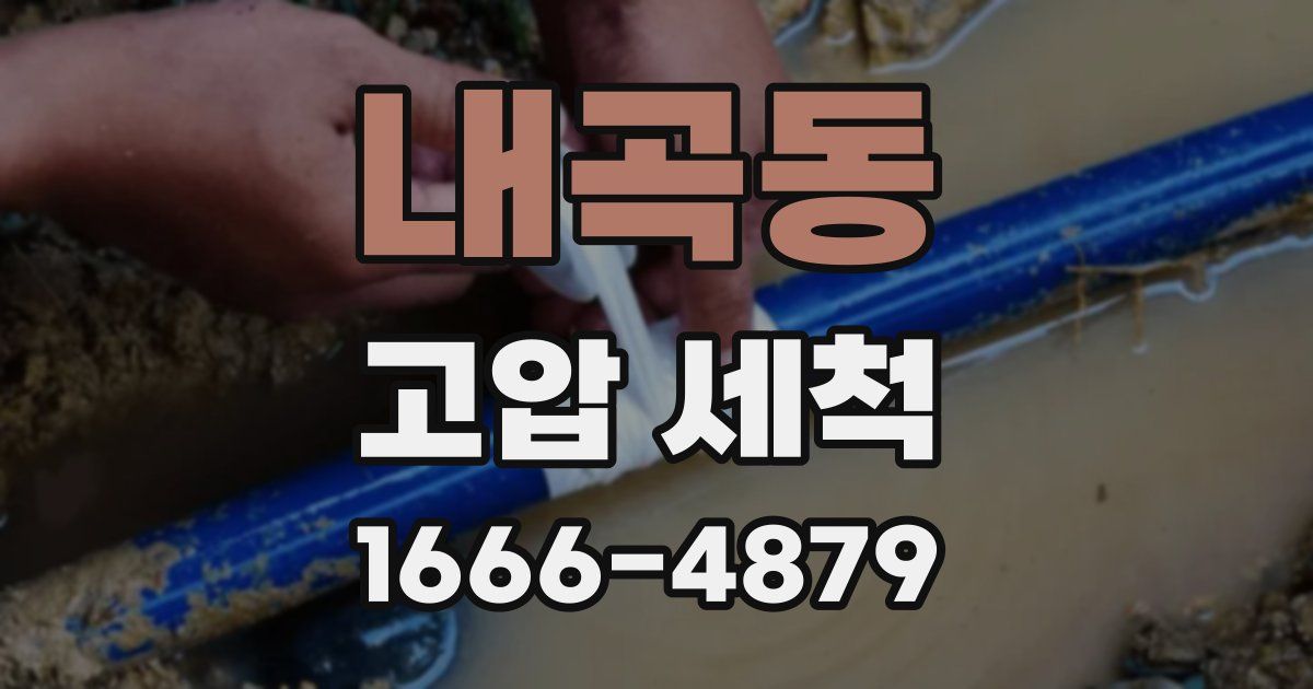 내곡동 고압 세척