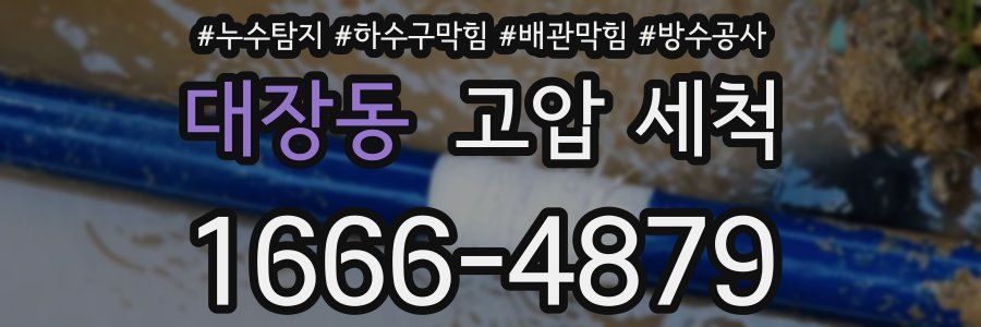대장동 고압 세척