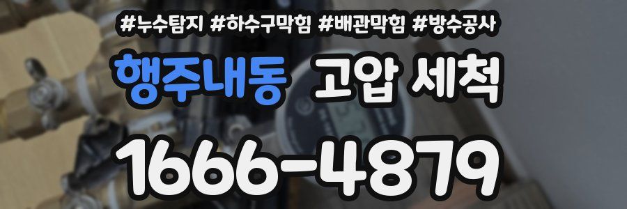 행주내동 고압 세척