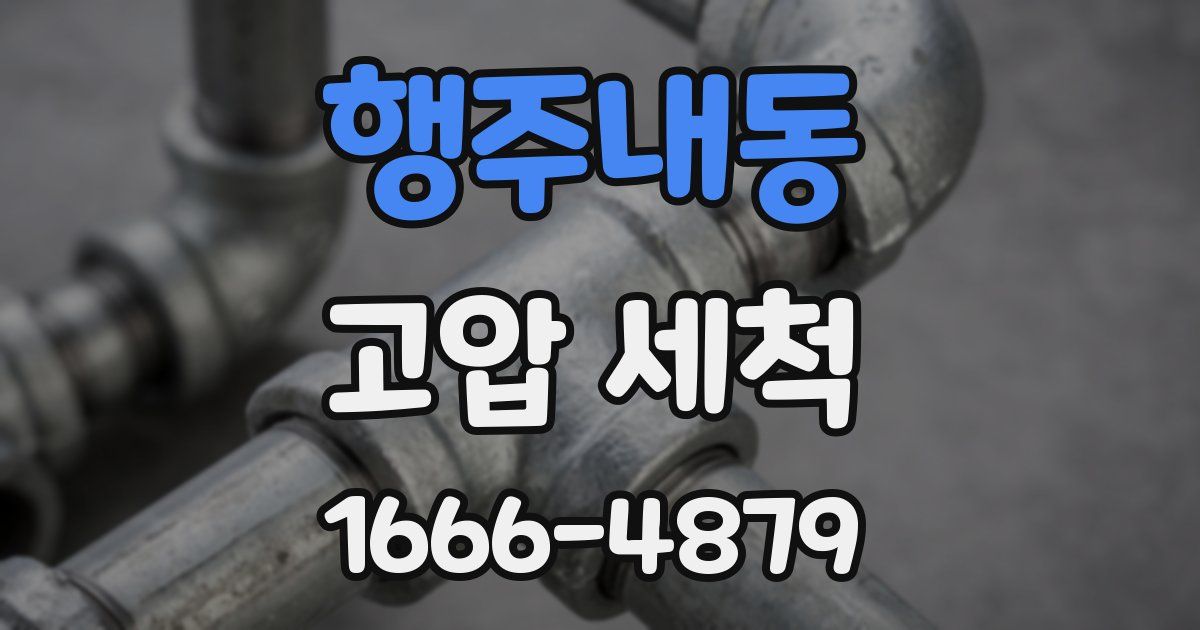 행주내동 고압 세척