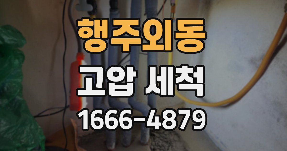 행주외동 고압 세척