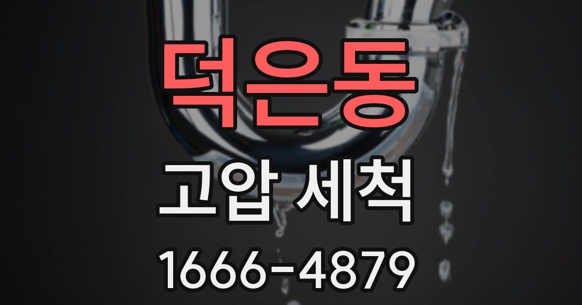 덕은동 고압 세척