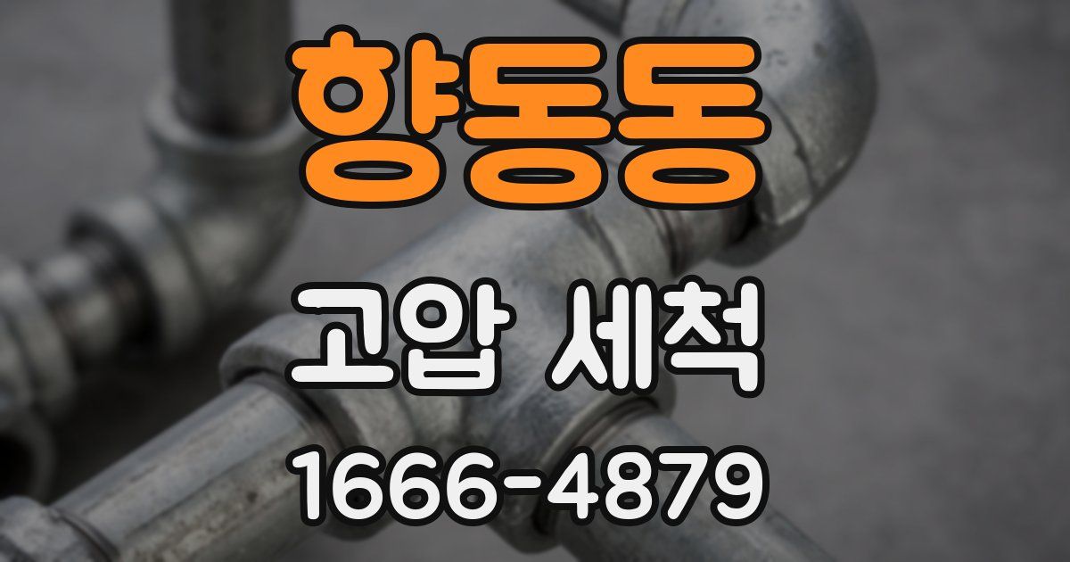 향동동 고압 세척