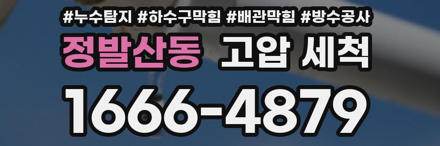 정발산동 고압 세척