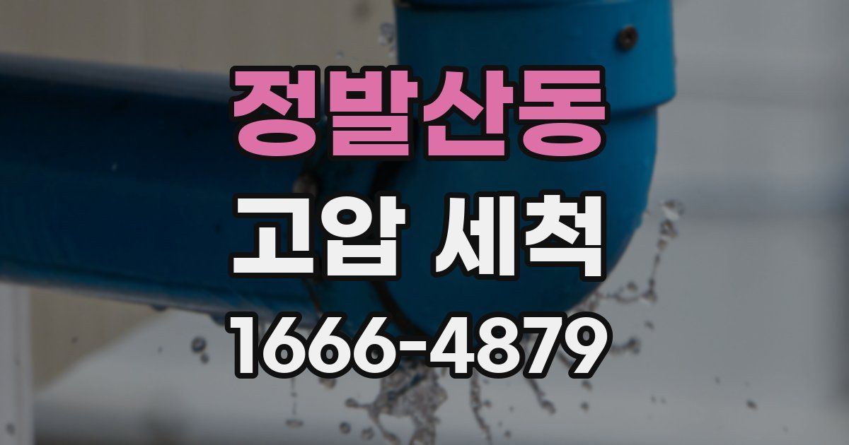 정발산동 고압 세척