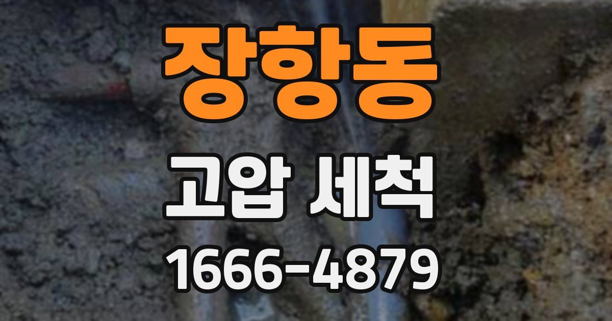장항동 고압 세척