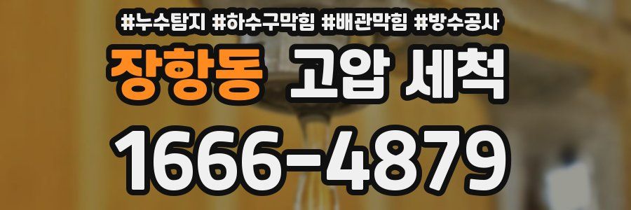 장항동 고압 세척